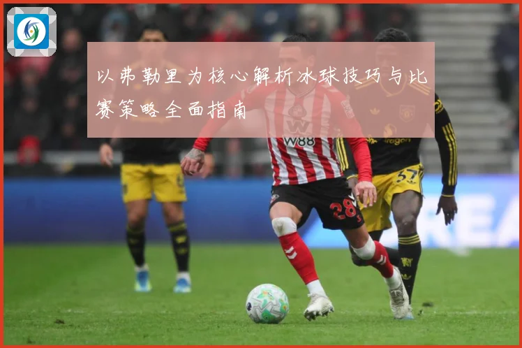 以弗勒里为核心解析冰球技巧与比赛策略全面指南