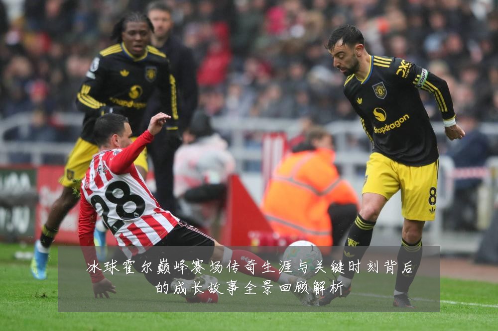 冰球霍尔巅峰赛场传奇生涯与关键时刻背后的成长故事全景回顾解析